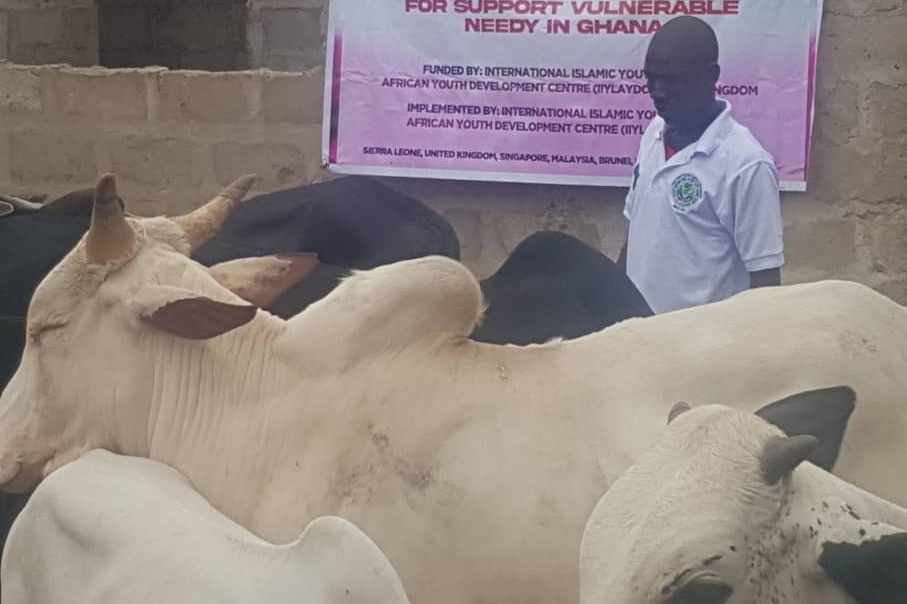 المشروع الاضاحي دعم الفقراء والايتام في ايام العيد الاضاحي المبالاك