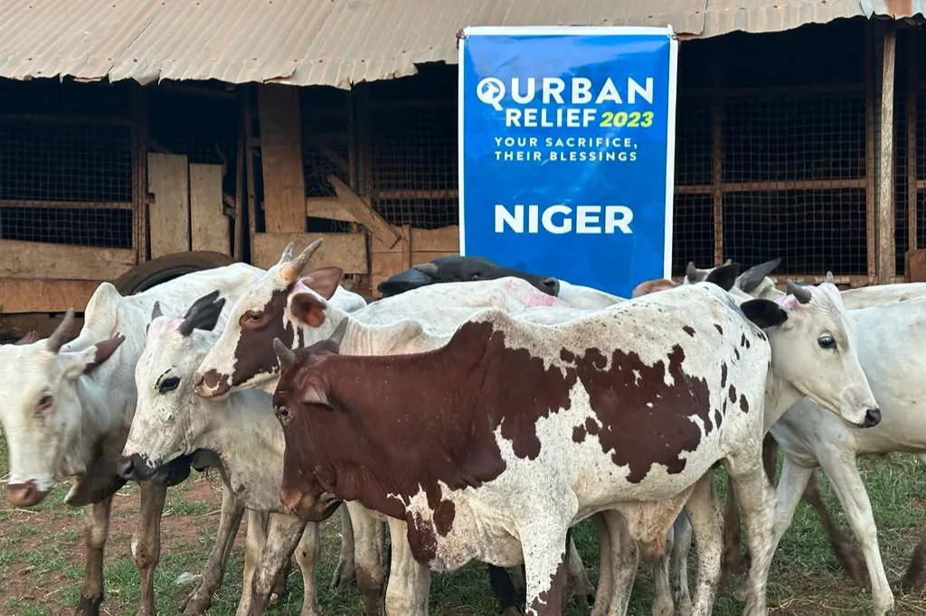 2026 Qurbani Meat Distribution to support Vulnerable and the Needy in Africa