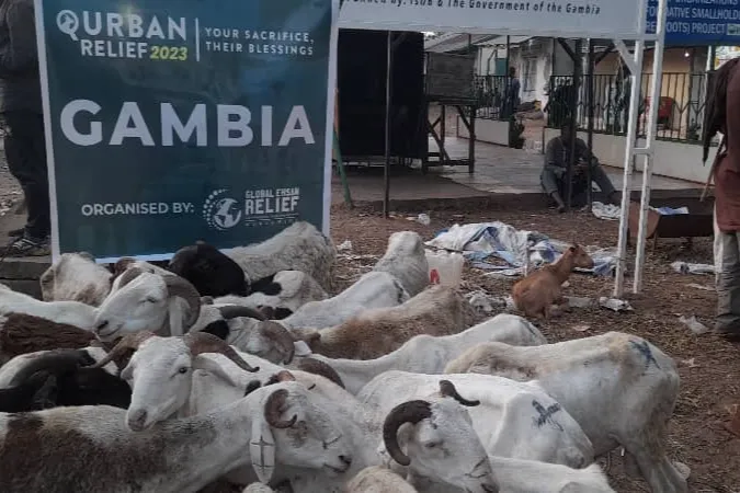 2026 Qurbani Meat Distribution to support Vulnerable and the Needy in Africa