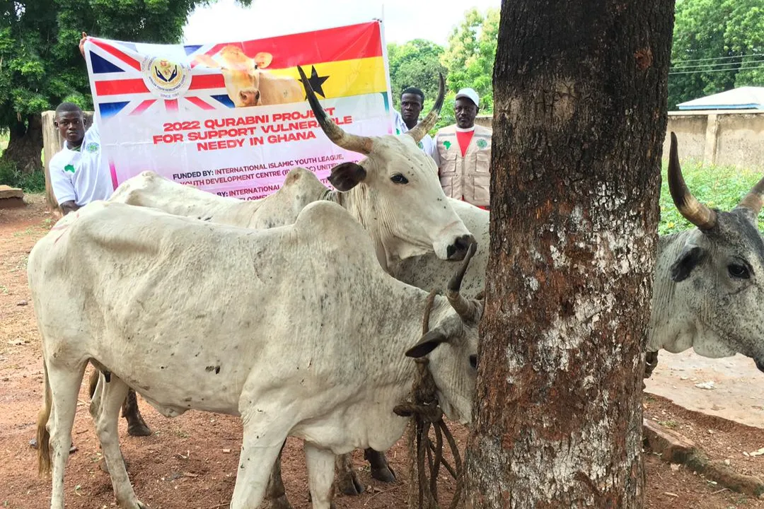 2026 Qurbani Meat Distribution to support Vulnerable and the Needy in Africa