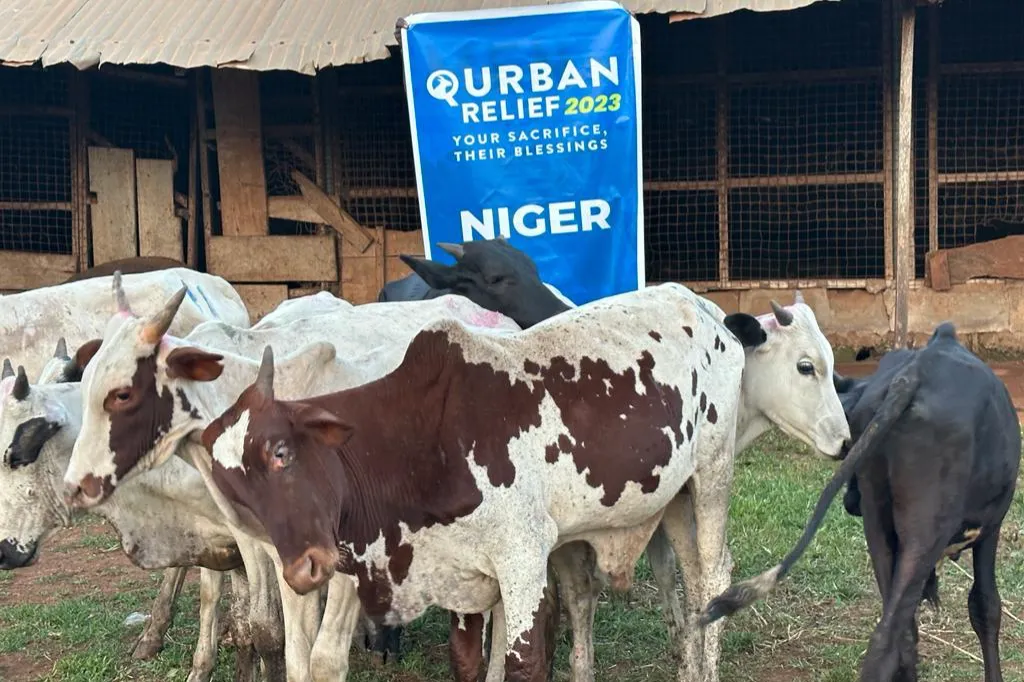 2026 Qurbani Meat Distribution to support Vulnerable and the Needy in Africa