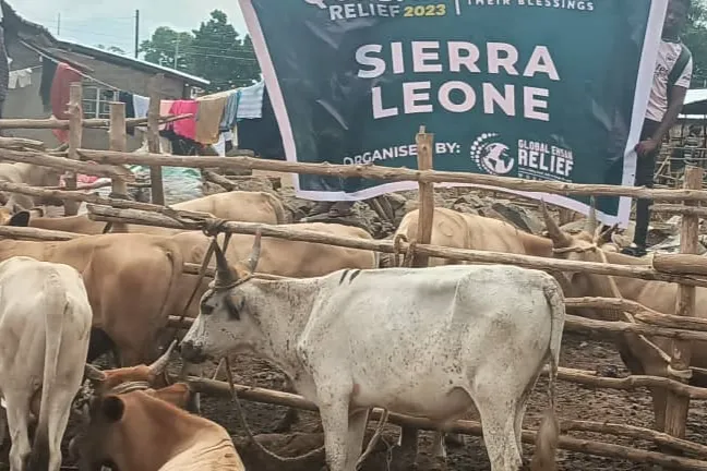 2026 Qurbani Meat Distribution to support Vulnerable and the Needy in Africa