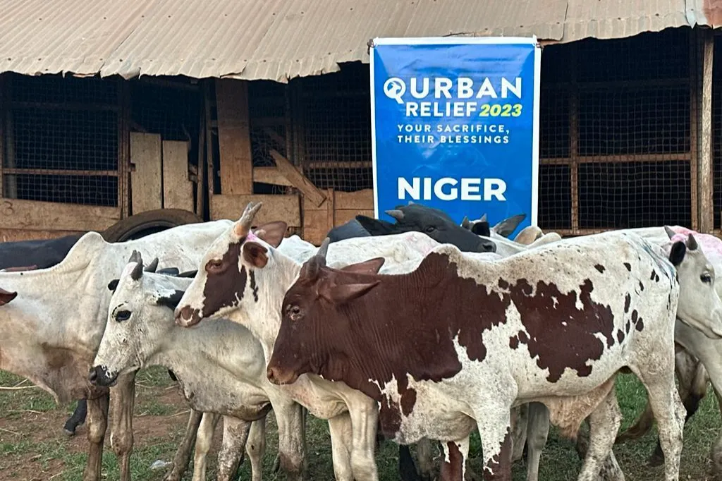 2026 Qurbani Meat Distribution to support Vulnerable and the Needy in Africa