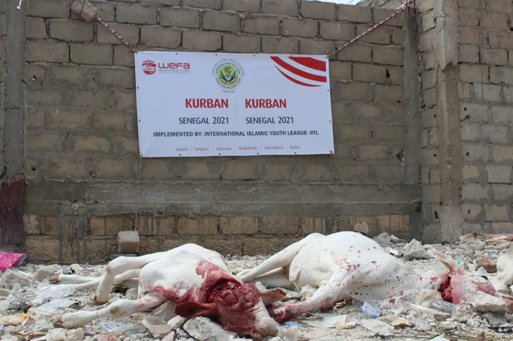 2026 Qurbani Meat Distribution to support Vulnerable and the Needy in Africa