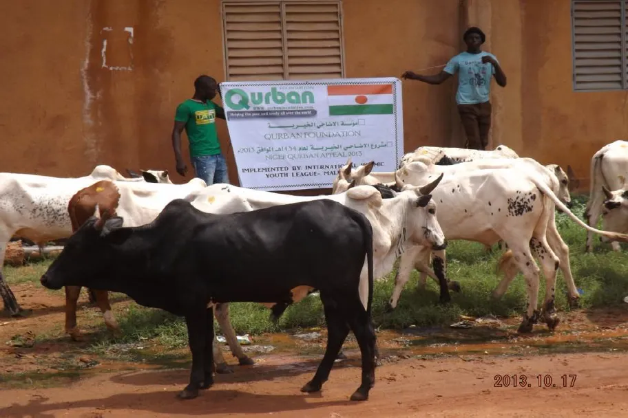 2026 Qurbani Meat Distribution to support Vulnerable and the Needy in Africa