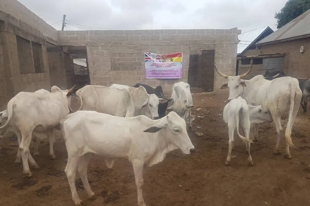 2026 Qurbani Meat Distribution to support Vulnerable and the Needy in Africa